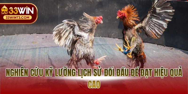 Đá Gà Thomo - Đỉnh Cao Giải Trí Và Nghệ Thuật Thi Đấu 4 Nghiên cứu kỹ lưỡng lịch sử đối đầu để đạt hiệu quả cao